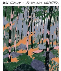 The Changing Wilderness