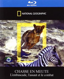 National Geographic - Chasse en meute - L'embuscade, l'assaut et le combat