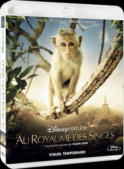 Au Royaume des Singes