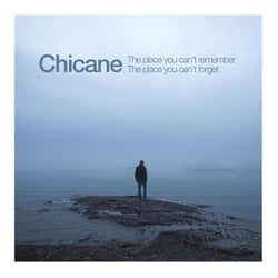 The Place You Can't Remember, The Place You Can't Forget - édition colorée 180g