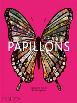 Papillons : Explorer le monde des lépidoptères