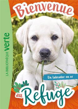 Bienvenue au refuge Tome 8 : Un labrador en or