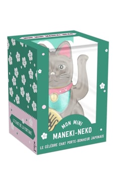 Mon mini Maneki-Neko argenté