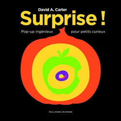 Surprise ! pop-up ingénieux pour petits curieux