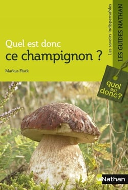 Quel est donc ce champignon ?