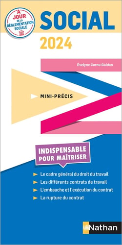 Mini-précis : Social (édition 2024)