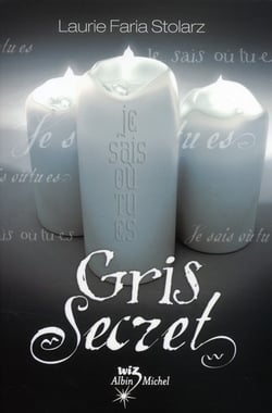 Gris secret Tome 3
