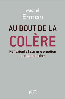 Au bout de la colère - réflexion(s) sur une émotion contemporaine