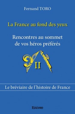 La France au fond des yeux t.2 - rencontres au sommet de vos héros préférés - le bréviaire de l'histoire de France