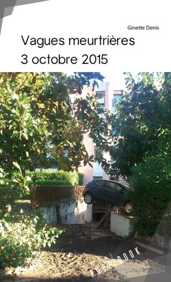 Vagues meurtrières : 3 octobre 2015