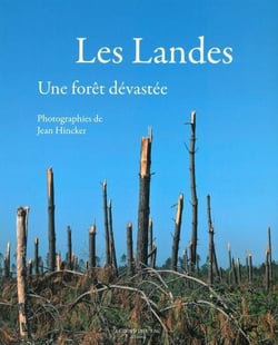 Les Landes - une forêt dévastée