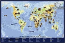 Le monde des animaux en danger