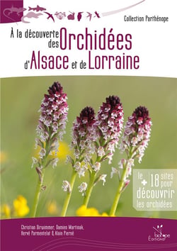 À la découverte des orchidées d'alsace et de lorraine