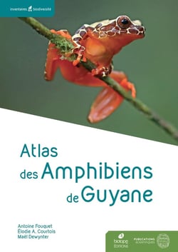 Atlas des Amphibiens de Guyane