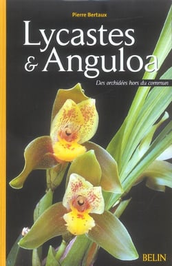 Lycastes & Anguloa