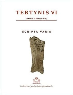 Tebtynis Tome 6 - scripta varia