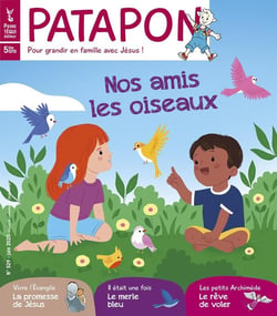 Patapon n.529 : Nos amis les oiseaux