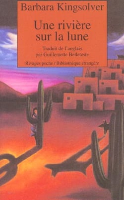 Une rivière sur la lune