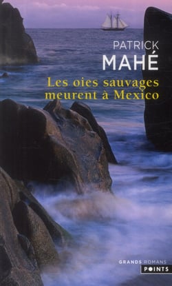 Les oies sauvages meurent à Mexico
