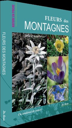 Fleurs des montagnes