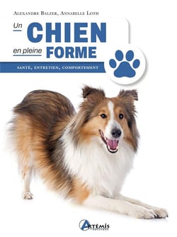 Un chien en pleine forme : santé, entretien, comportement