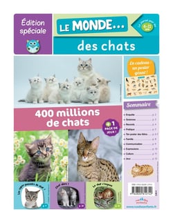 Édition spéciale : le monde des chats
