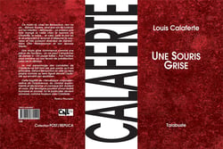 Une souris grise