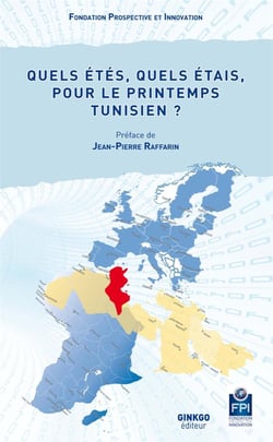 Quels étés, quels étais, pour le printemps tunisien ?