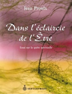 Dans l'éclaircie de l'etre - essai sur la quête spirituelle