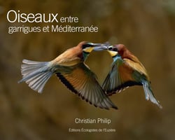 Oiseaux entre garrigues et Méditerranée