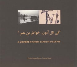 À l'ombre d'amon - carnets d'egypte