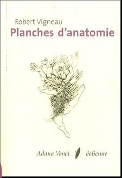 Planches d'anatomie