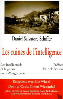 Les ruines de l'intelligence - les intellectuels et la guerre en ex-yougoslavie