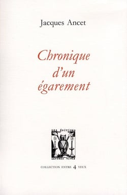 Chronique d'un égarement