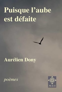 Puisque l'aube est défaite
