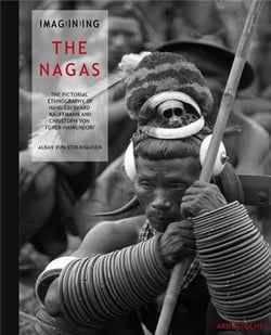 Imagining  the nagas