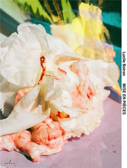 Lucile boiron mise en pieces /francais/anglais