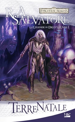 Les Royaumes Oubliés - la légende de Drizzt Tome 1 : terre natale