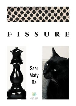 Fissure