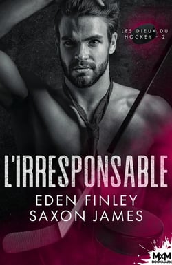 Les dieux du hockey Tome 2 : L'irresponsable
