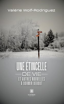 Une étincelle de vie et autres nouvelles à dormir debout