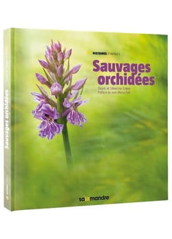 Sauvages orchidées