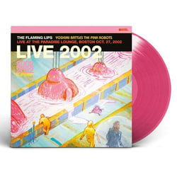 Yoshimi Battles The Pink Robots - Live at The Paradise Lounge, Boston 10/27/2002