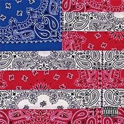 All-Amerikkkan Bada$$