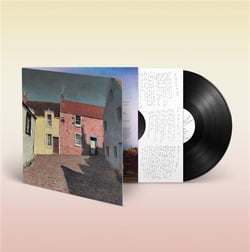 Iechyd Da - Vinyle