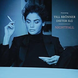 Nightfall - Vinyle
