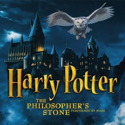 Harry PotterThe Philosopher's Stone - édition limitée colorée
