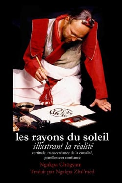 Les Rayons du Soleil : Illustrant la Réalité