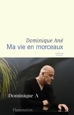 Ma vie en morceaux