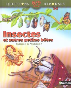 Insectes et autres ptes betes